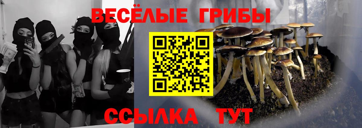 Галлюциногенные грибы Magic Shrooms Углич